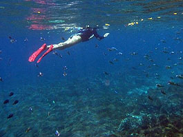 �����{���K����