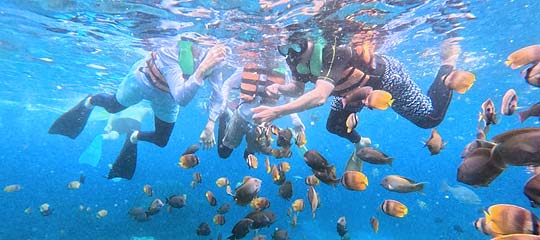 �����{���K����