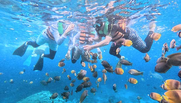 レンボガン島＋バリ半日ツアー