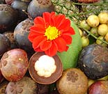 バグースジャティで採れた果物
